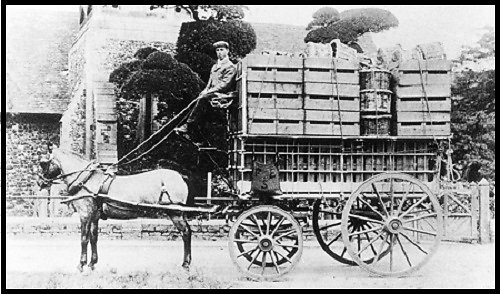 A Gibbs strawberry van, owned by Fred Emmett, Brook Farm, Stanwell, Middlesex.  The van man is believed to be C. Cox.  Circa 1900.