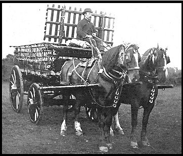 A two horse-drawn cart built by Gibbs.