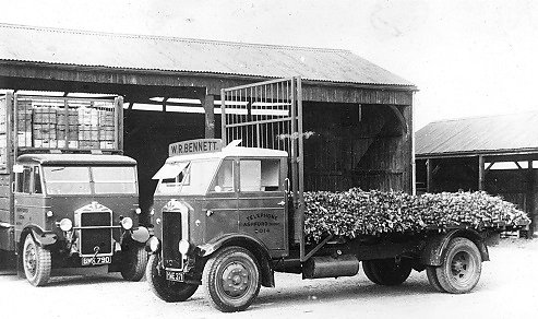 An Albion lorry loaded with root vegetables belonging to W.R. Bennett of Bedfont.