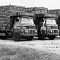 Market lorries built on to Austin chassis by Gibbs for A.E. Burree and Sons of Barnes.