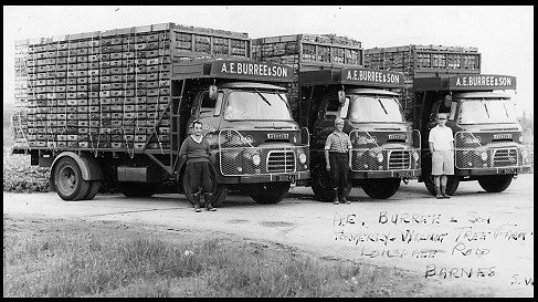 Market lorries built on to Austin chassis by Gibbs for A.E. Burree and Sons of Barnes.
